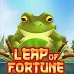 Leap of Fortune game cover